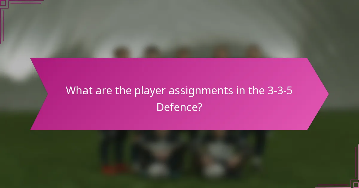 What are the player assignments in the 3-3-5 Defence?